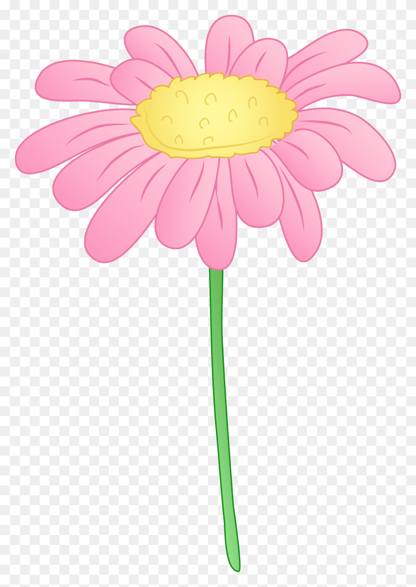 4682x6755 Banner Free Clipart Black And White Panda Daisy Pink Cartoon Flowers, Plant, Flower, Daisies HD PNG Download