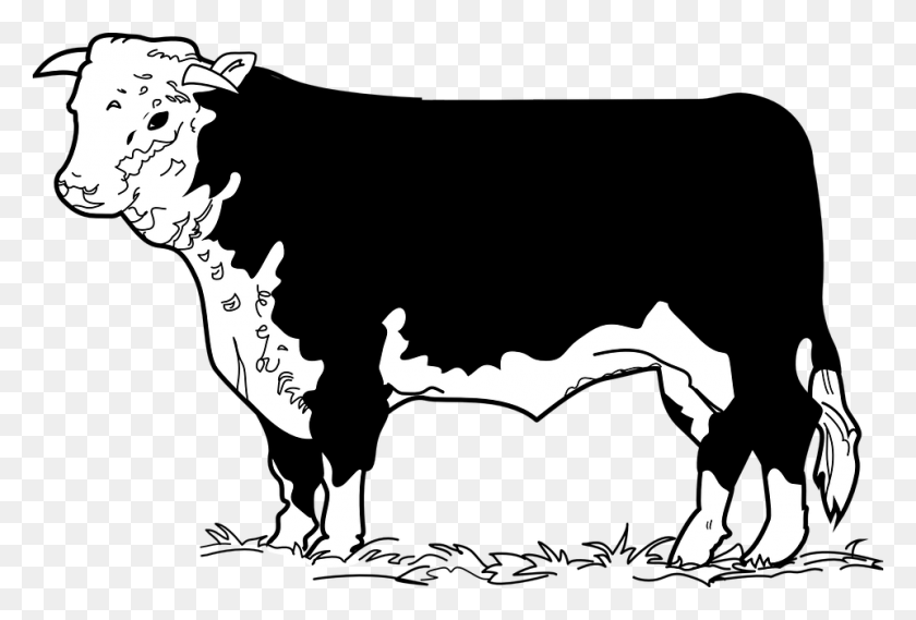 960x627 Banner Free Cow Clip Art Shop Of Library Buy Beef Cow Clip Art, Stencil, Person HD PNG Download