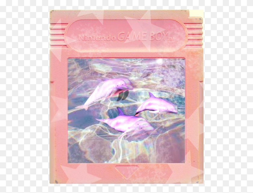 514x582 Descargar Png Banner Libre Librería Game Boy Art By Aesthetic Guy En Transparente Estética Game Boy, Bird, Animal, Sea Life Hd Png