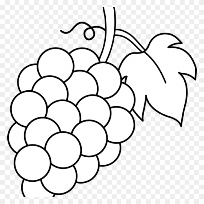 1024x1024 Banner Free Library Grape Clipart For Free Clipart Grapes, Fruit, Plant, Food HD PNG Download