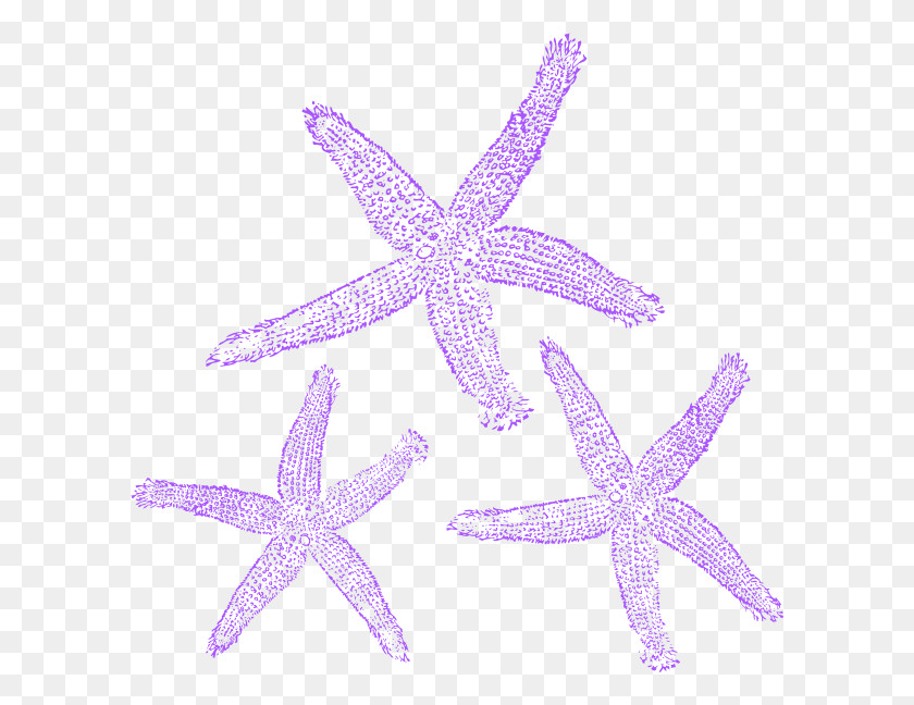600x588 Descargar Png Banner Free Starfish Clip Art At Clker Starfish Purple, Invertebrado, Vida Marina, Animal Hd Png