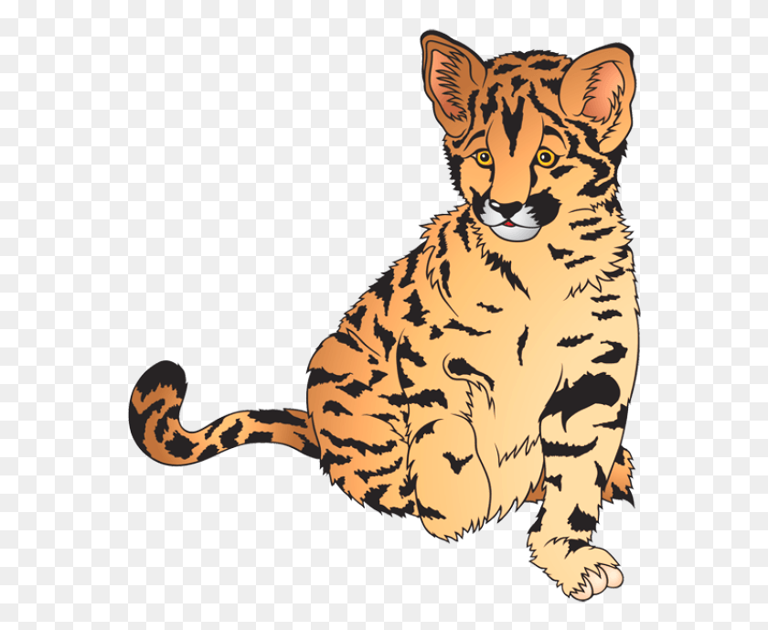 563x629 Banner Free Stock Free At Getdrawings Com For Personal Zoo Animals Clip Art, Tiger, Wildlife, Mammal HD PNG Download