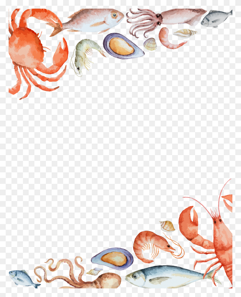 1667x2083 Banner Free Vector Border Background Transprent Seafood Background, Shrimp, Sea Life, Food HD PNG Download