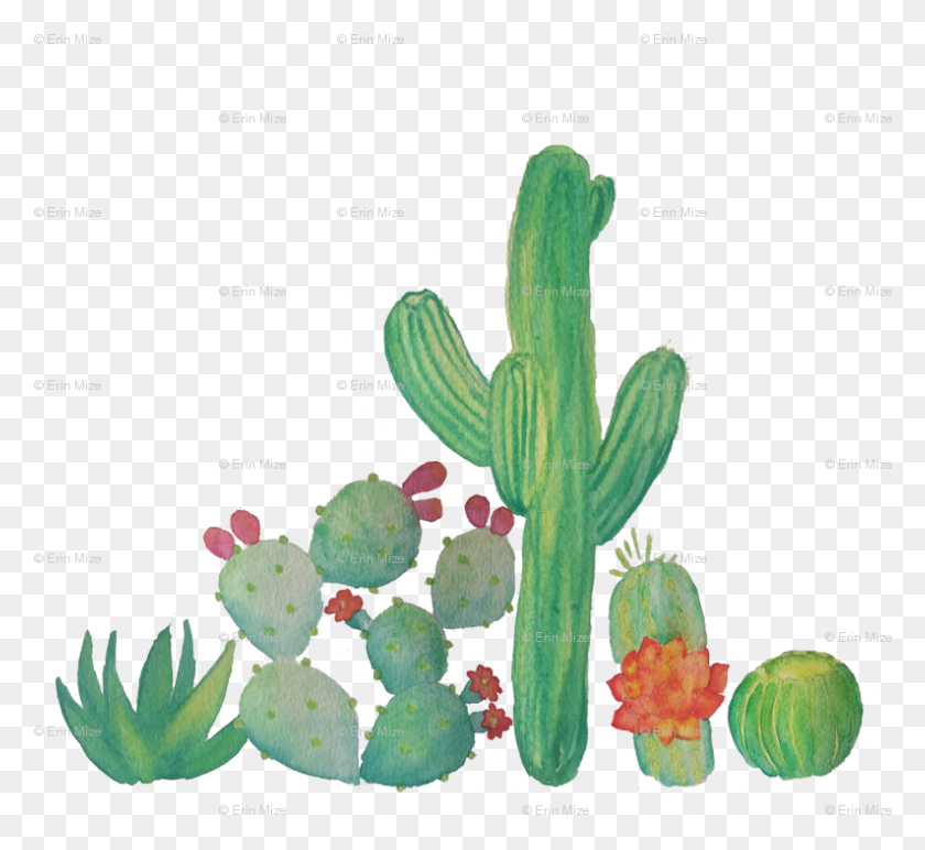 794x725 Descargar Png Banner Freeuse Cacti Fabric Erinmizedesigns Gráficos De Red Portátiles, Planta, Cactus Hd Png