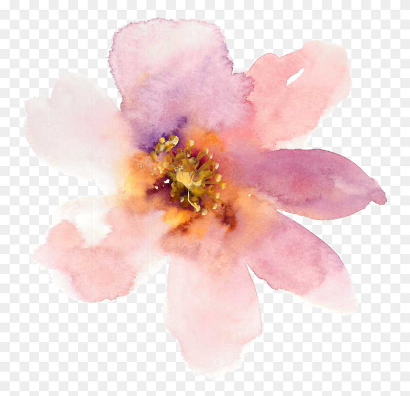 3013x2899 Banner Freeuse Stock Transparent Watercolours Pale Pale Pink Flower Watercolour HD PNG Download