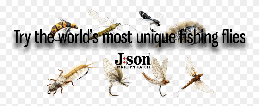 1636x601 Banner Net Winged Insects, Insect, Invertebrate, Animal HD PNG Download