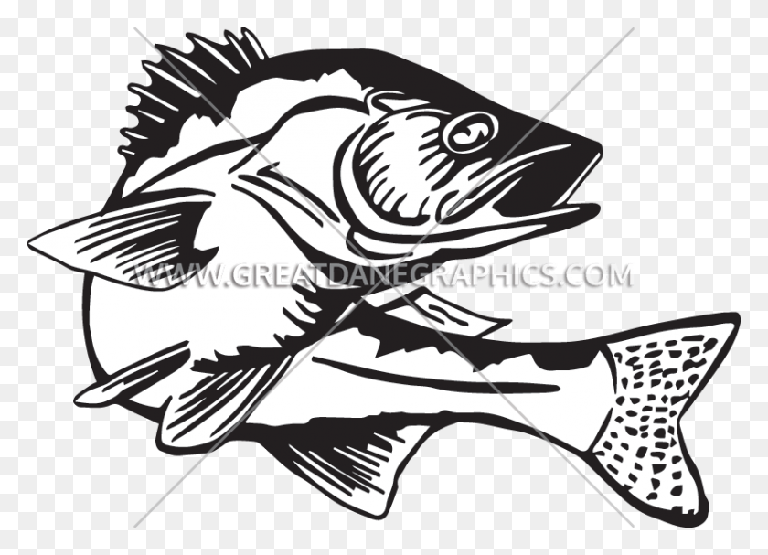 825x579 Banner Royalty Free Bass Fishing Clipart Black And White Walleye, Perch, Fish, Animal HD PNG Download