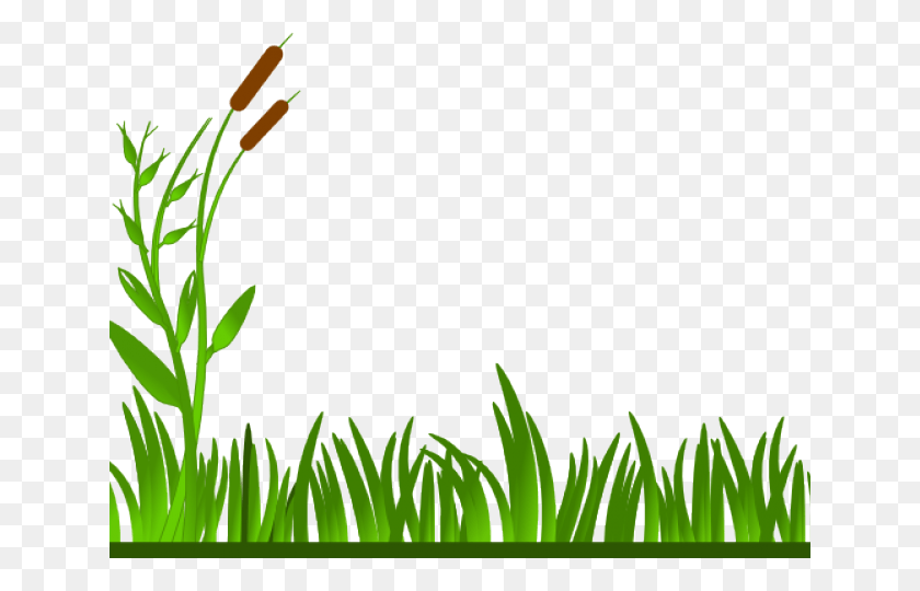 640x480 Баннер Без Лицензионных Отчислений На Dumielauxepices Net Grassland Черно-Белая Трава, Растение, Зеленый, Цветок Hd Png Скачать