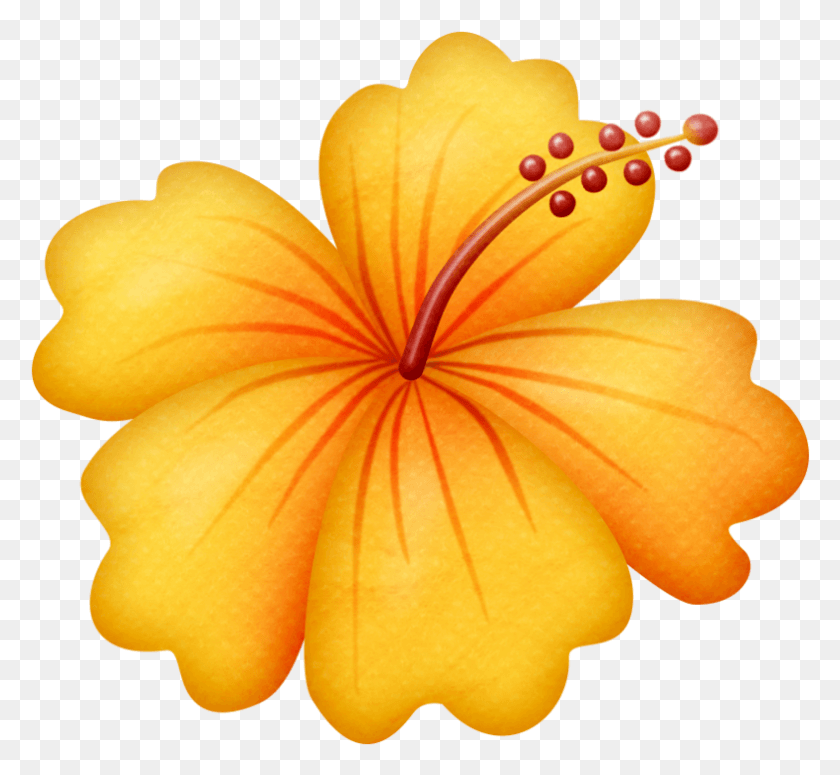 784x719 Banner Royalty Free Stock Lliella Gumamela Clip Hawaiian Flowers Yellow And Orange, Geranium, Flower, Plant HD PNG Download