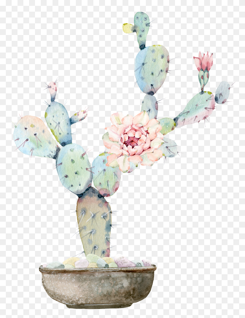 4417x5837 Banner Transparent Library Watercolour Flowers Watercolor Cactus And Flower Watercolor HD PNG Download