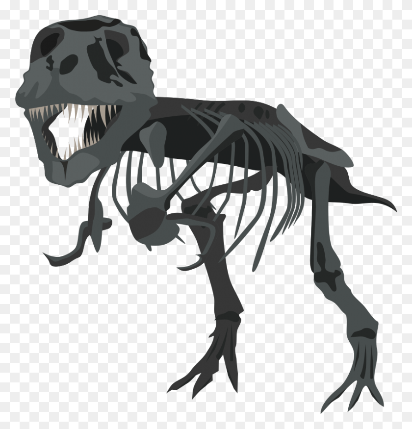 843x881 Banner Transparent Stock T Rex Skeleton Big Image Dinosaur, Reptile, Animal, T-rex HD PNG Download