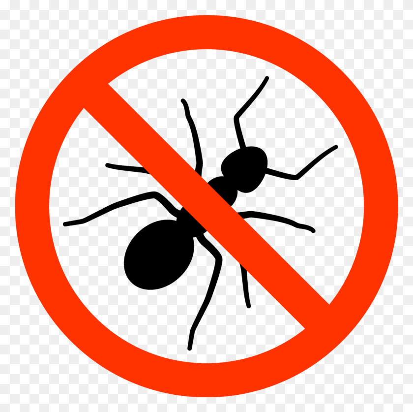 1090x1087 Bannerghatta Pluspng Pluspng Anti Ants, Symbol, Road Sign, Sign HD PNG Download