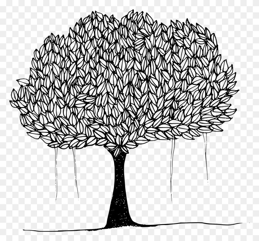 1280x1180 Banyan Banyan Tree Canopy Image Banyan Tree Line Drawing, Gray, World Of Warcraft HD PNG Download