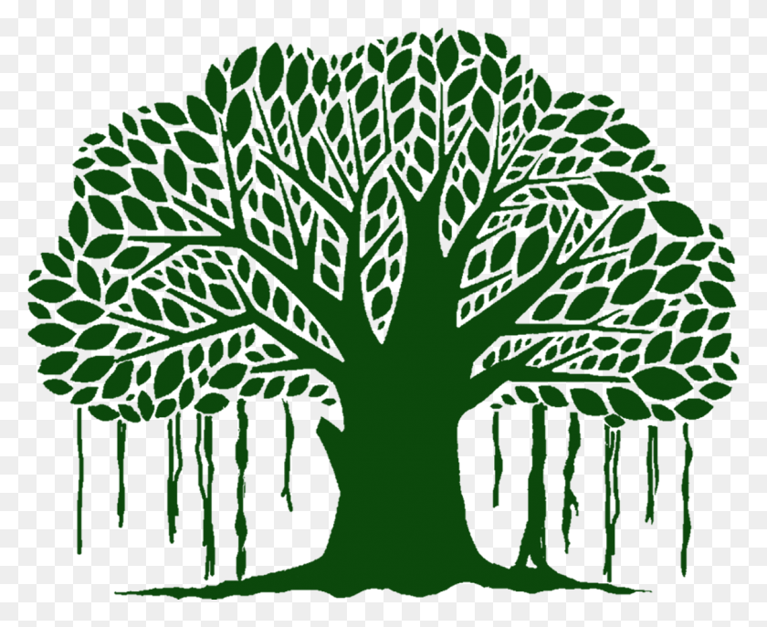 1127x906 Banyan Tree Clip Art Free Clipart Image Free Banyan Tree Vector, Kale, Cabbage, Vegetable HD PNG Download