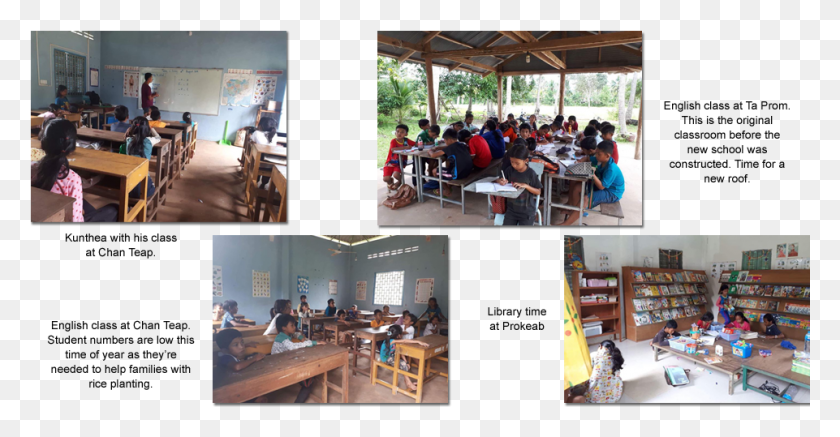 961x465 Banyan Tree Organization Student Activities Classroom, Person, Human, School HD PNG Download