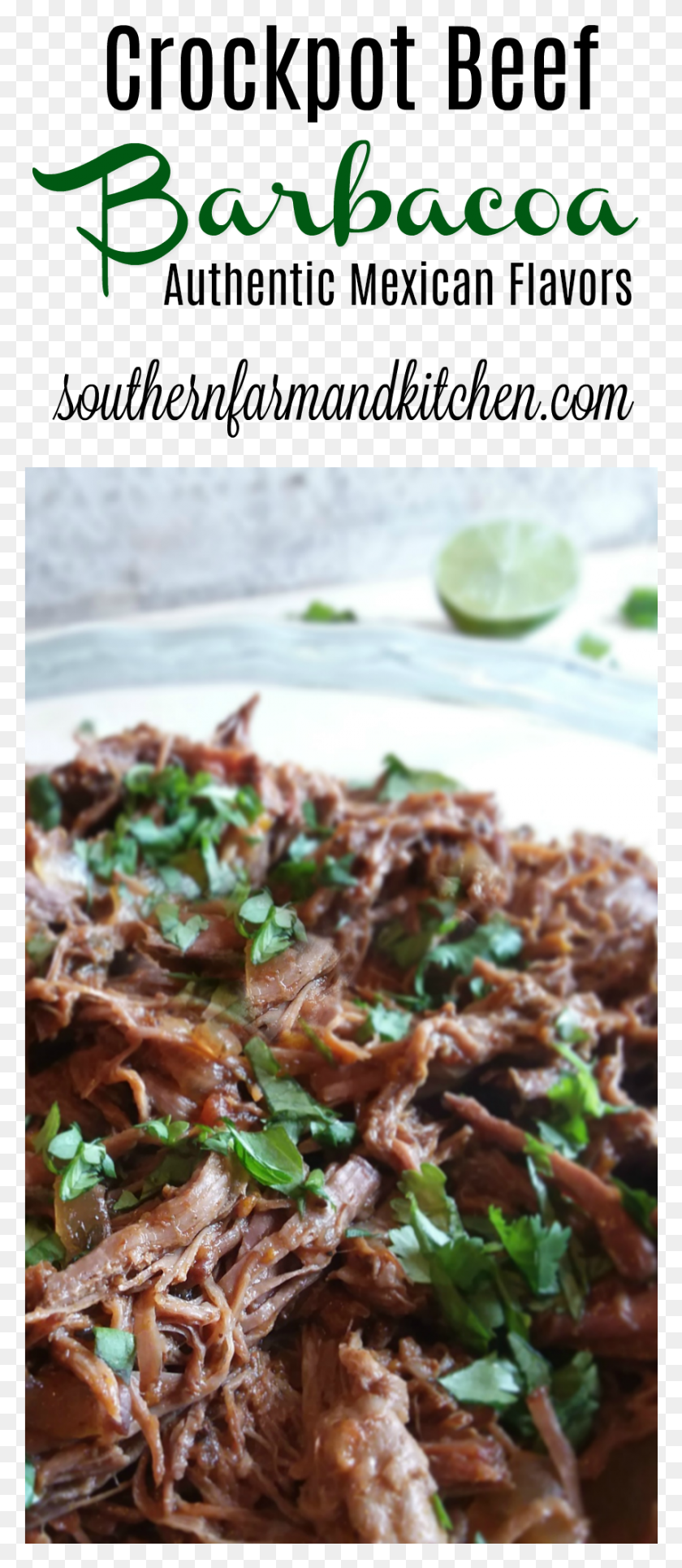 858x2058 Barbacoa Beef Mexican Crockpot Recipes Lime, Plant, Food, Produce HD PNG Download
