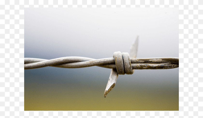 641x428 Barbed Wire, Wire HD PNG Download