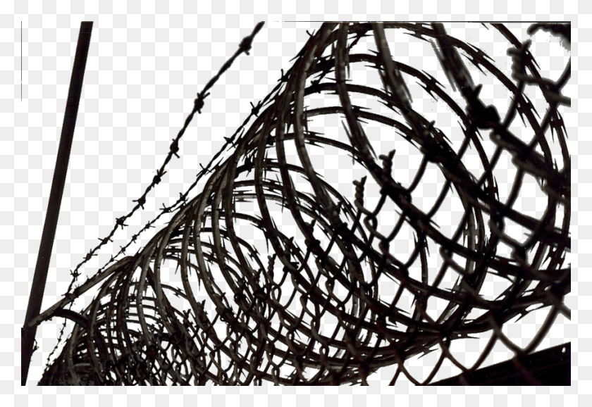 902x600 Barbed Wire Barb Wire Psd, Team Sport, Sport, Team HD PNG Download