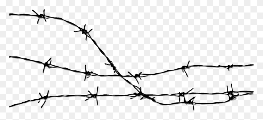 961x400 Barbed Wire Clipart Transparent Background Barbed Wire Transparent Background, Wire, Bow HD PNG Download
