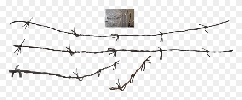 982x365 Barbed Wire Fence Chain Link Fencing Barbed Wire Wire, Bow HD PNG Download