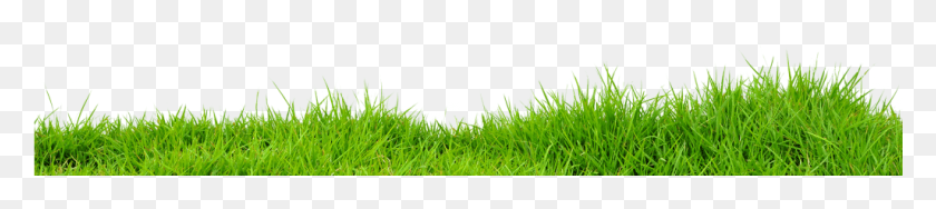1025x169 Bare Root Landscaping Sweet Grass, Plant, Lawn, Green HD PNG Download
