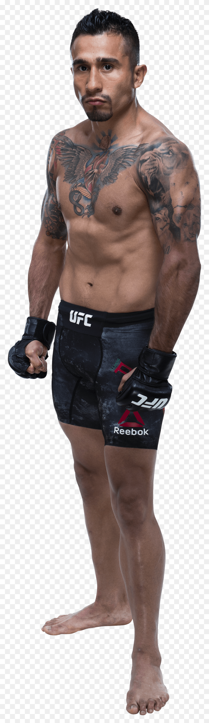 914x3324 Barechested, Shorts, Clothing, Apparel HD PNG Download