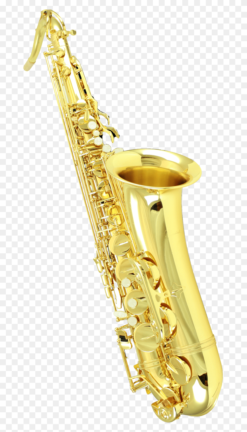 683x1407 Baritone Saxophone, Leisure Activities, Musical Instrument, Brass Section HD PNG Download