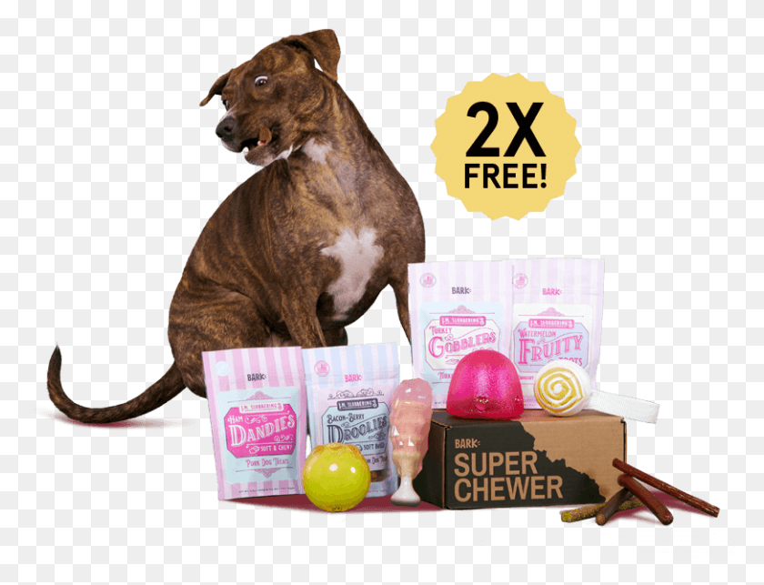 812x607 Barkbox A Monthly Box Of Dog Goodies Starting At 22 Boxer, Mammal, Animal, Poster HD PNG Download