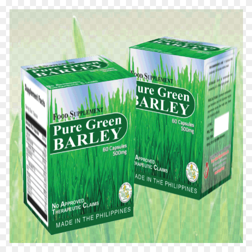 802x801 Barley Grass Is Rich In Vitamins A C B1 B2 Folic Victory Global Barley, Plant, Food, Green HD PNG Download