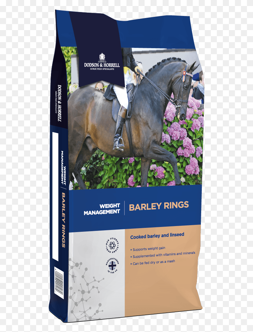 519x1043 Barley Rings Dodson Amp Horrell Build Up Mix, Horse, Mammal, Animal HD PNG Download