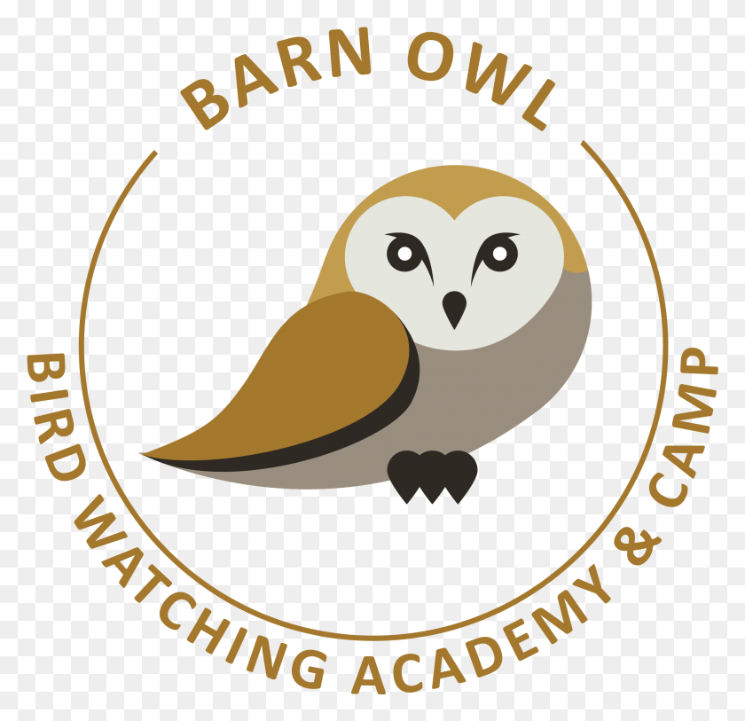 2027x1958 Barn Owl, Bird, Animal, Text HD PNG Download