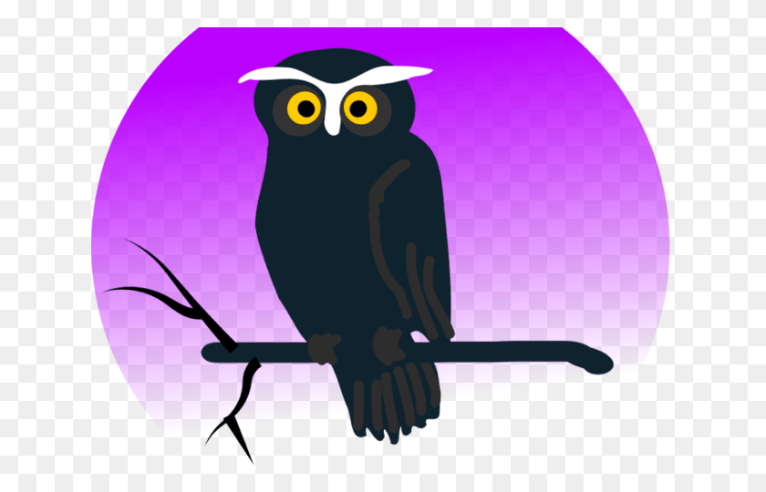 640x480 Barn Owl Clipart Branch Clipart Free Owl Fart, Bird, Animal HD PNG Download