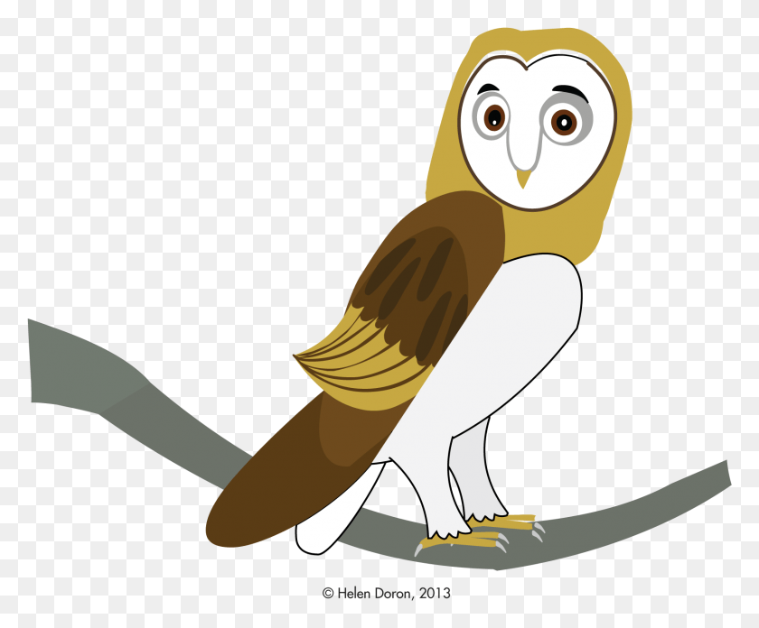 1701x1388 Barn Owl Gyngybagoly, Animal, Bird, Beak HD PNG Download