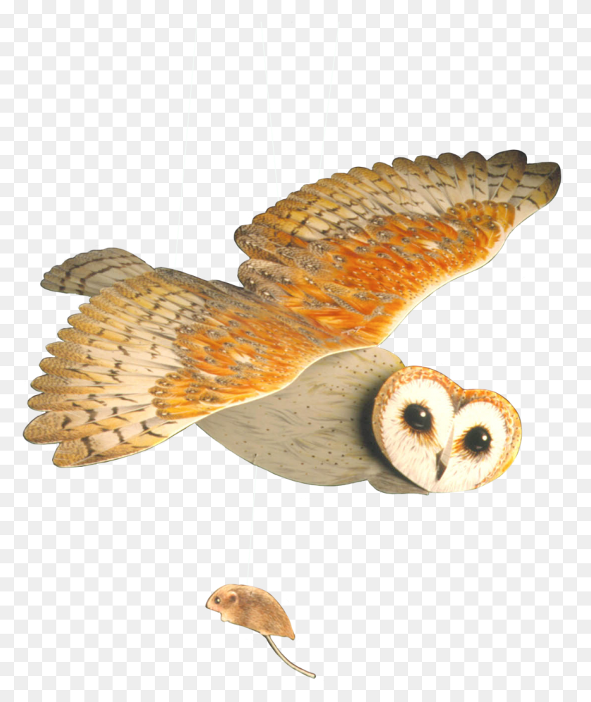 1100x1322 Barn Owl Mobile Barn Owl, Animal, Bird, Fungus HD PNG Download