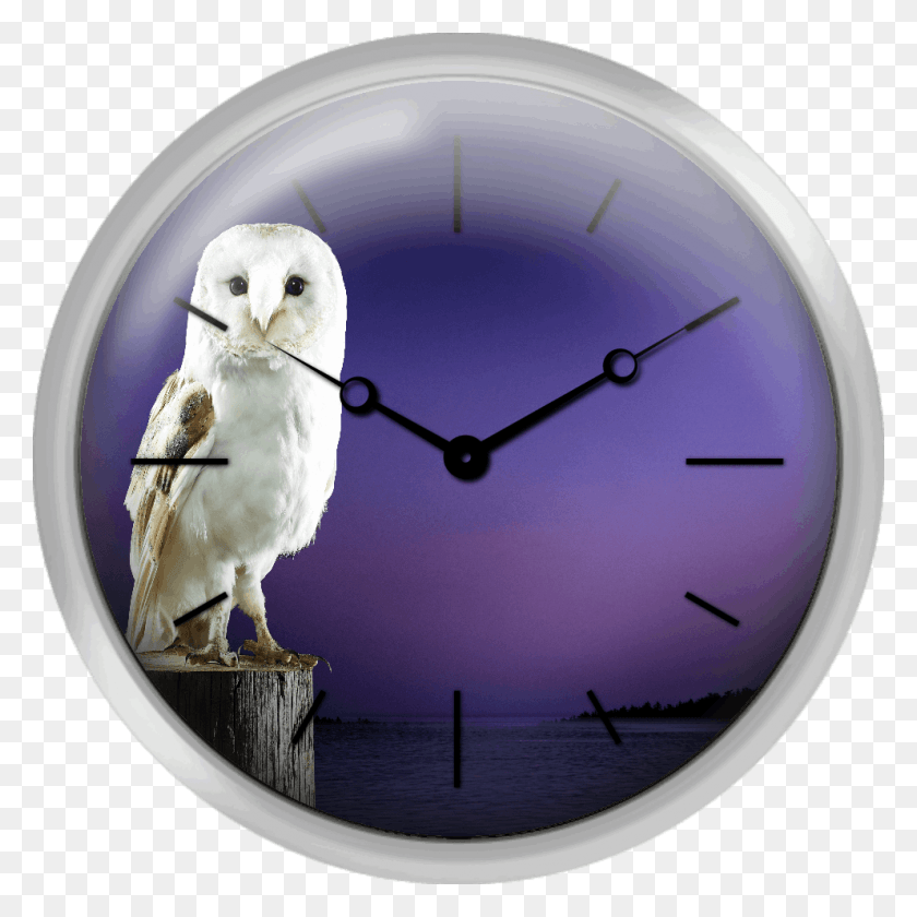 992x992 Barn Owl Standing On Log With Sunset Background Snowy Owl, Analog Clock, Clock, Bird HD PNG Download