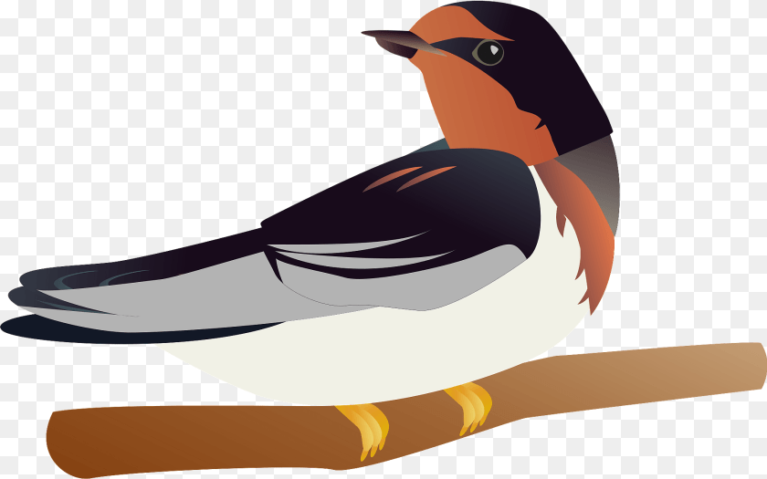 1920x1201 Barn Swallow Bird Clipart, Animal, Beak, Finch, Fish Sticker PNG