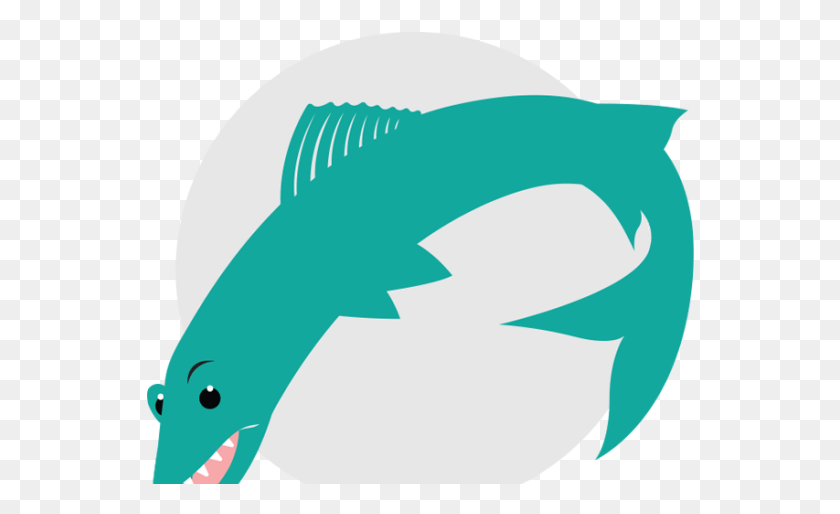 548x454 Barracuda Png