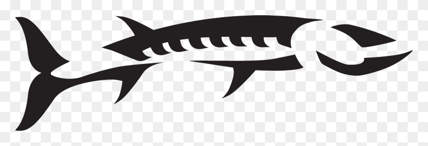 1170x341 Логотип Рыбы Барракуда, Трафарет, Пистолет, Оружие Hd Png Скачать