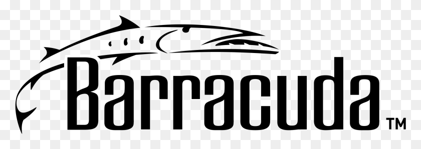 2191x670 Barracuda Logo Transparent Barracuda Vector, Outdoors, Gray, Nature HD PNG Download