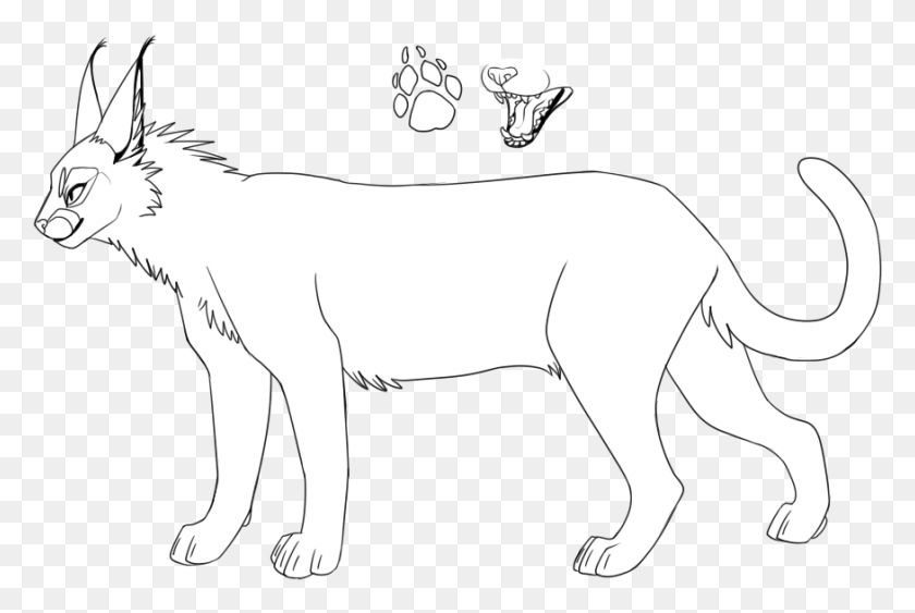 875x565 Bases And Lineart Caracal Lineart, Mammal, Animal, Horse HD PNG Download