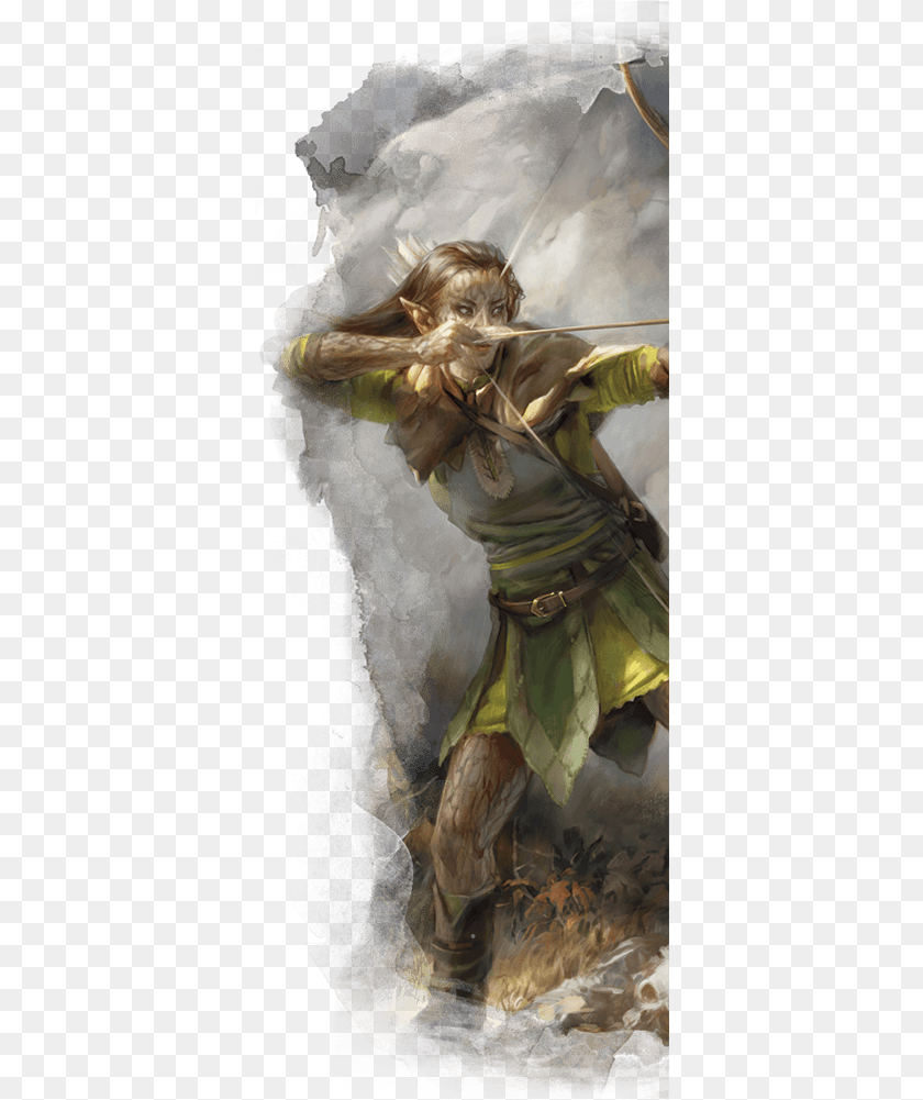 378x1001 Basic Rules For Dungeons And Dragons Du0026d Fifth Edition 5e Elf Ranger Female, Archer, Archery, Bow, Weapon Clipart PNG