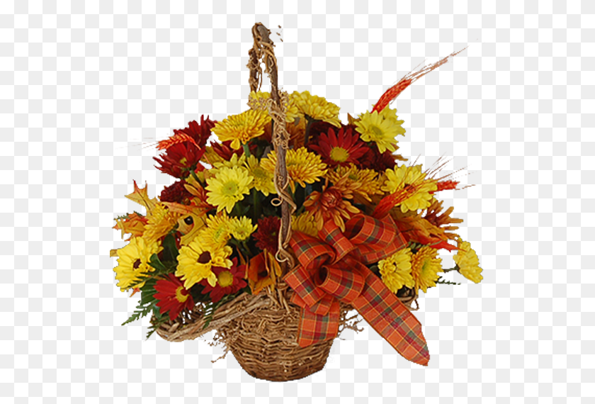 531x510 Корзина Цветочные Композиции Осень, Растение, Цветение, Цветочная Композиция Hd Png Скачать
