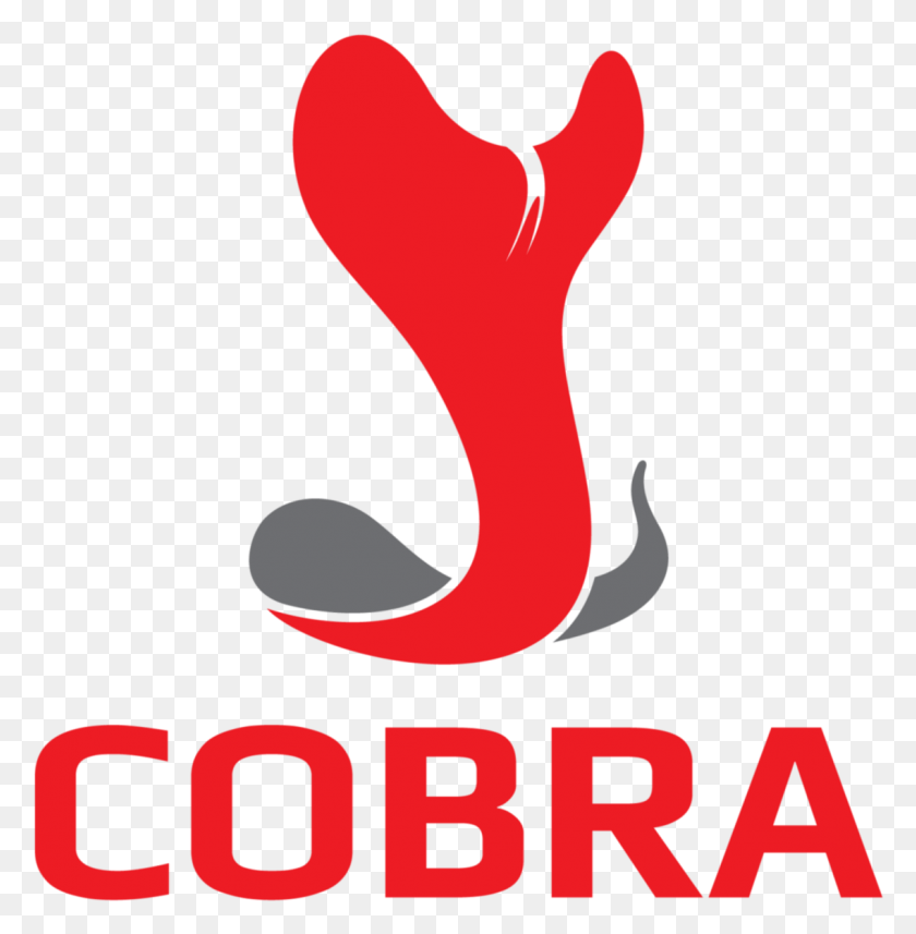 1136x1161 Baloncesto Png / Cobra Png