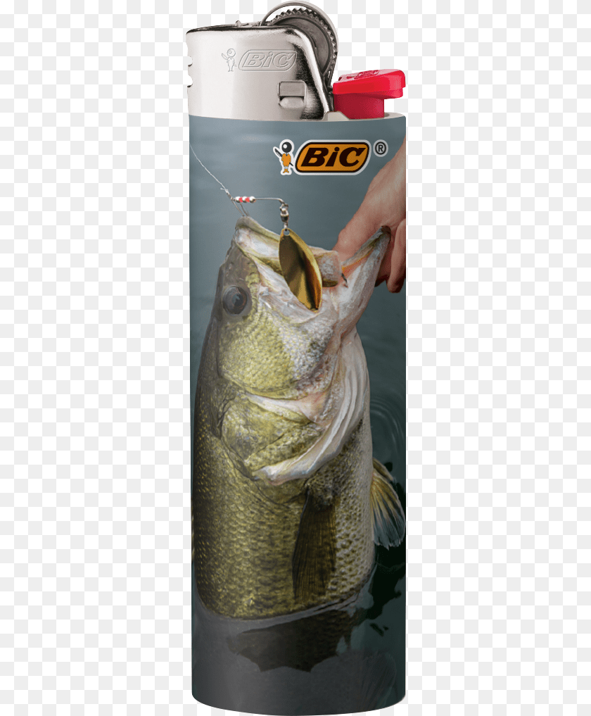 315x1017 Bass, Animal, Fish, Sea Life Transparent PNG