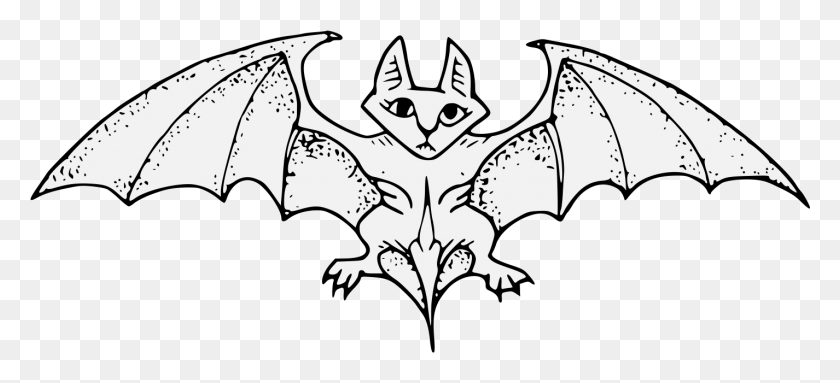 1426x591 Bat Cartoon, Mammal, Animal, Stencil HD PNG Download