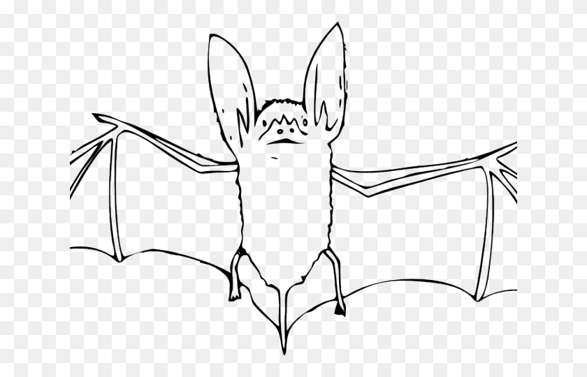640x480 Bat Outline, Insect, Invertebrate, Animal HD PNG Download