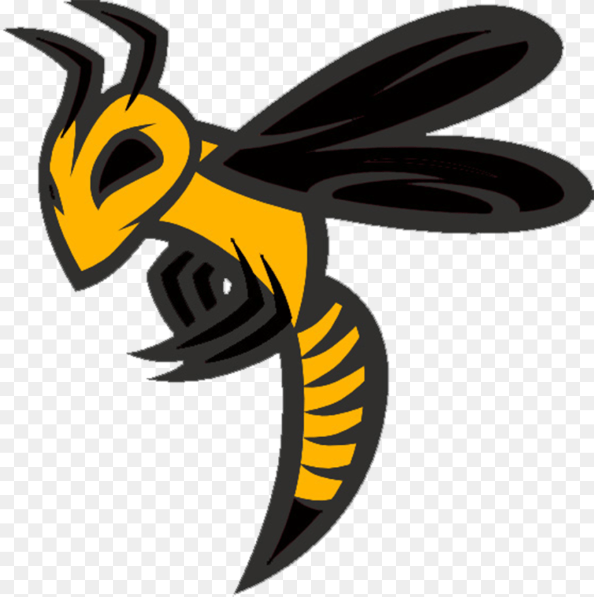Bat Swarm Ohio Swarm 8u Baseball, Animal, Bee, Insect, Invertebrate Transparent PNG