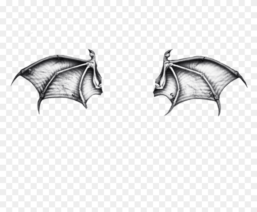 941x767 Bat Wings Avenged Sevenfold The Stage Deathbat, Wildlife, Animal, Mammal HD PNG Download