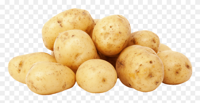 895x426 Descargar Png / Batatas Potatis, Patata, Vegetal, Planta Hd Png