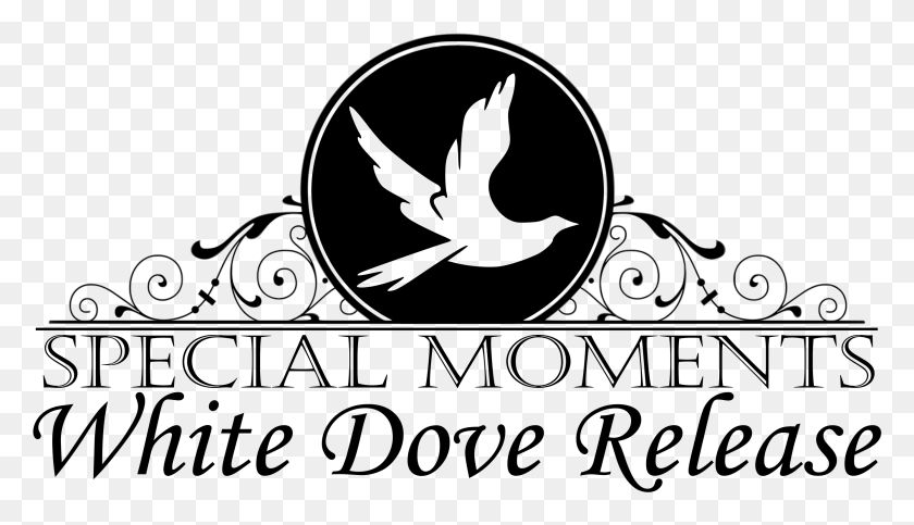 2676x1453 Be Inspired With A Dove Release Miss Universe, Text, Logo, Symbol HD PNG Download